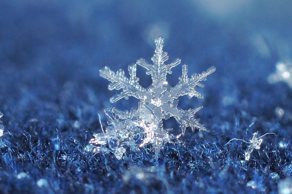 Снежинки — это уникальные и завораживающие кристаллические структуры с десятками причудливых «ветвей», которые тянутся наружу, как руки, тянущиеся к небу.
