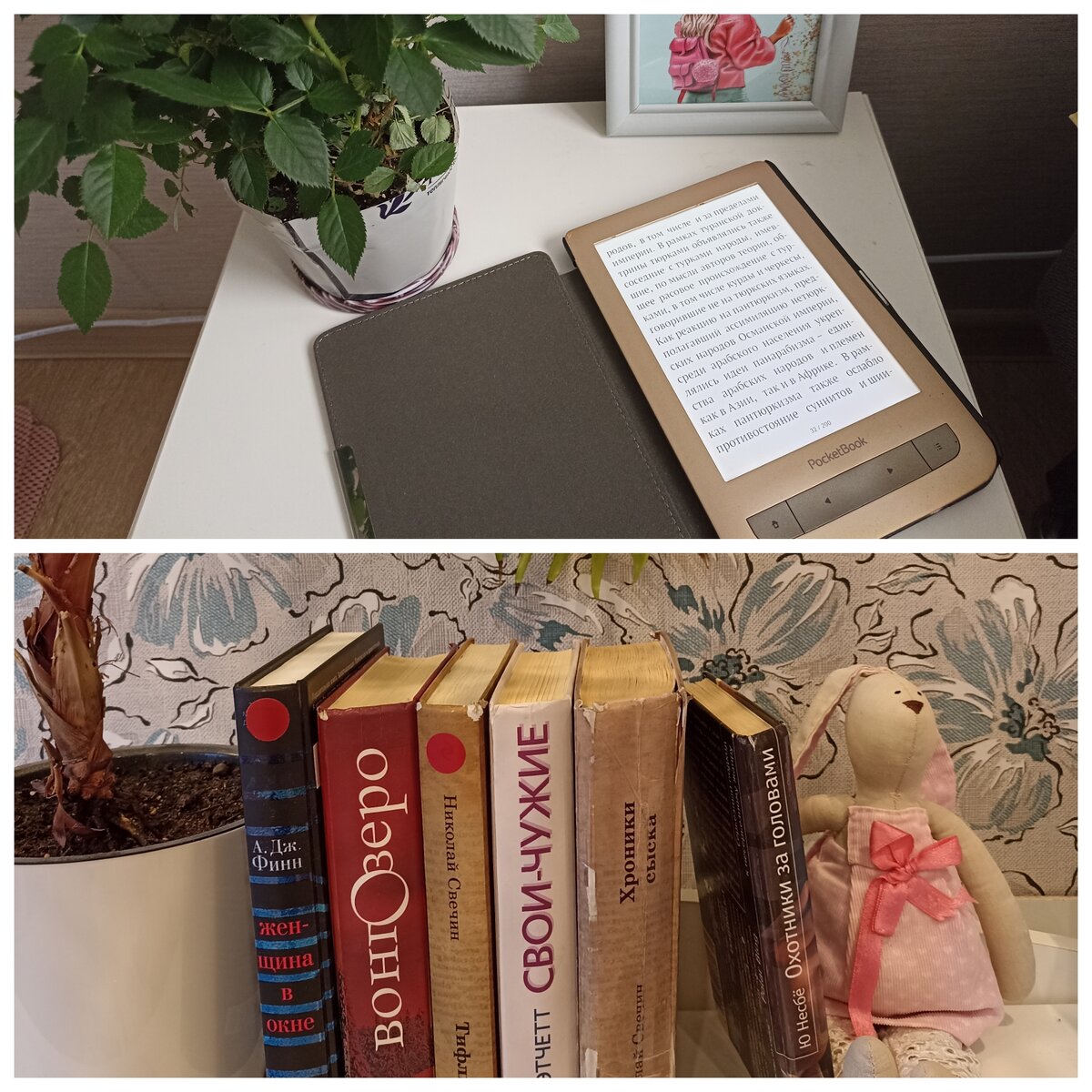 Электронная книга и бумажные издания из библиотеки