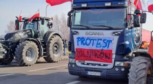    Фото: farmer.pl/Monika Chlebosz Ирина Амелина
