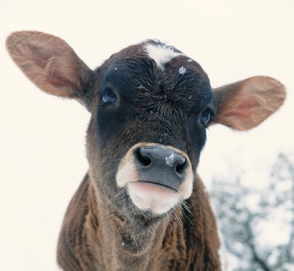   Фото: istockphoto.com