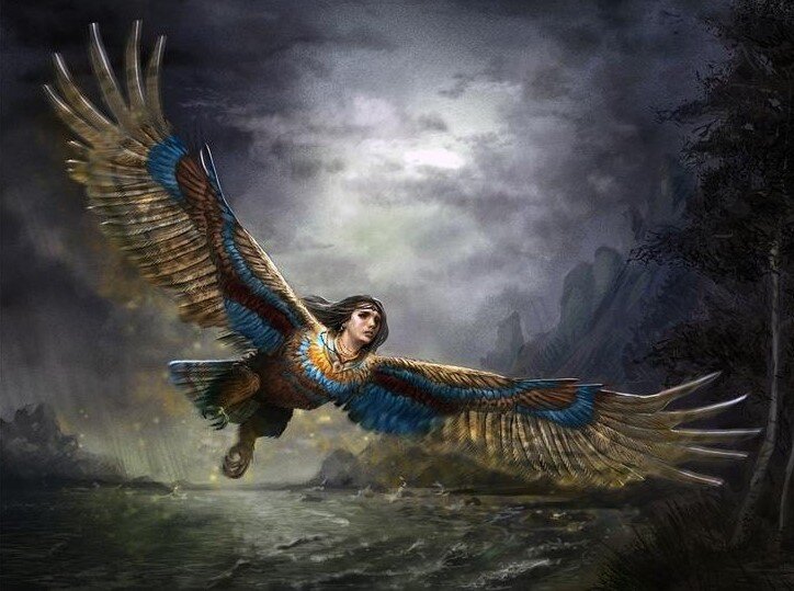 Взято из открытых источников