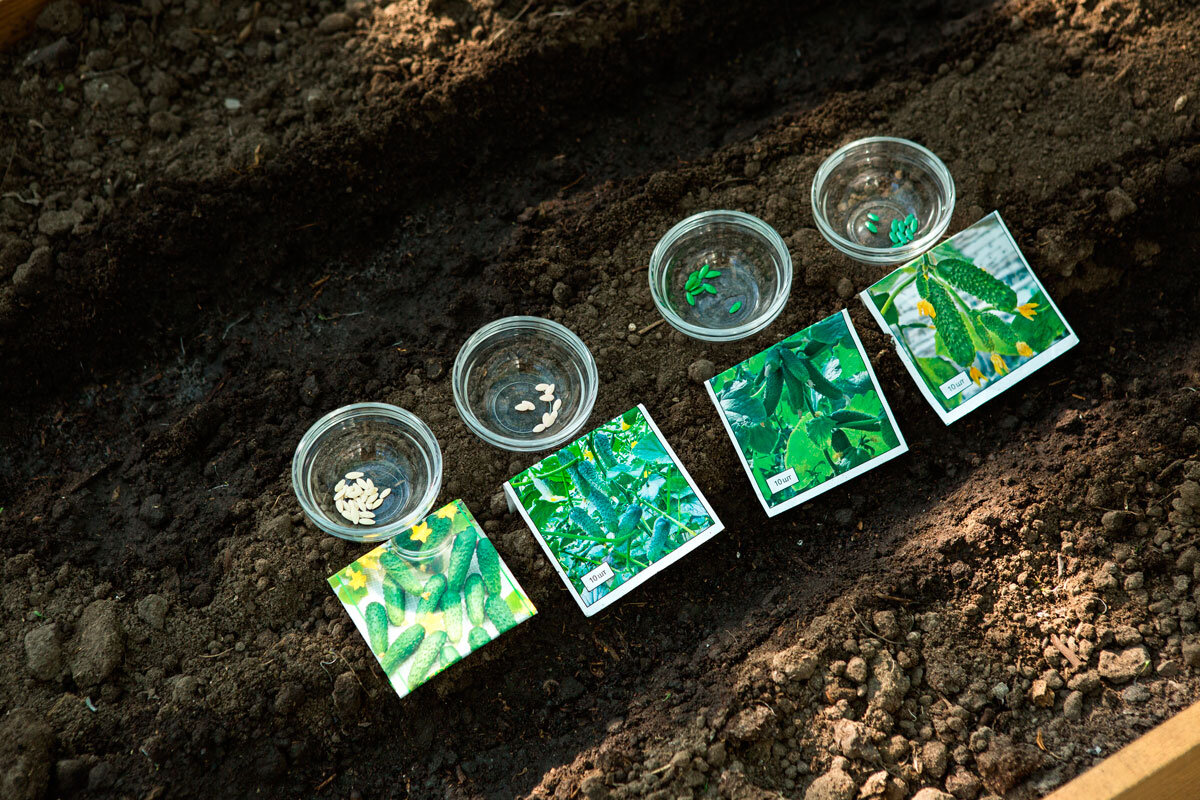    Фото: Oksana Kuznetsova Dnepr / Shutterstock.com