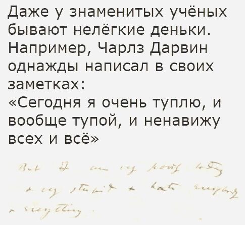 из интернета