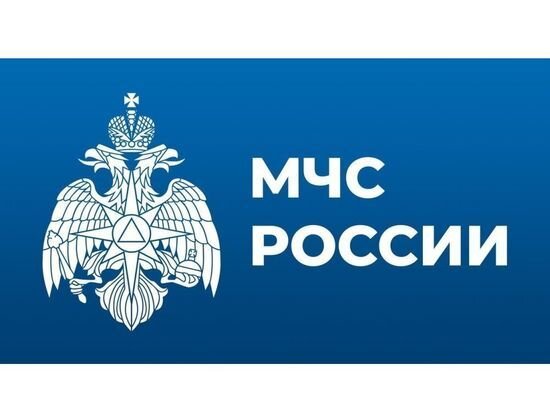     Фото vk.com/mchs_smolensk