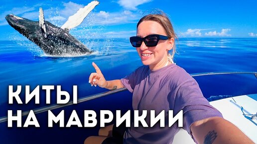 ЛУЧШИЙ ОТДЫХ НА МАВРИКИИ. ОБЗОР ОТЕЛЯ 5* | ПЛАВАЕМ С КИТАМИ