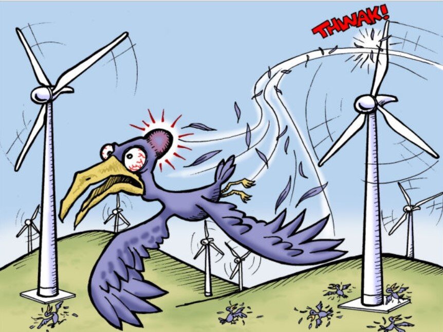 Ветрогенераторы не так уж и безвредны 