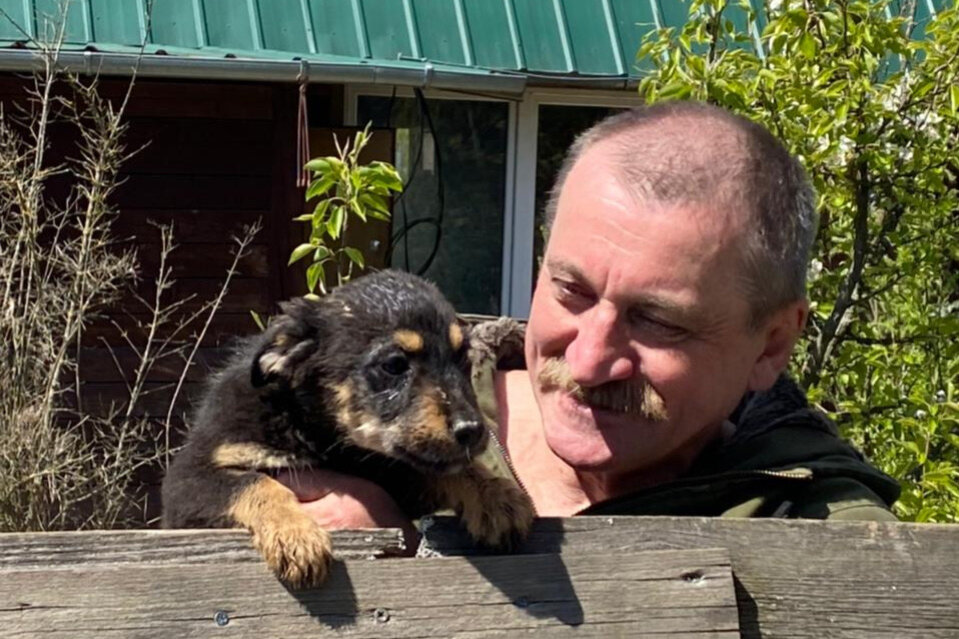 Недавно родившиеся щенки жили в этом ужасе, непривитый, все покусанные большими собакам и корм им доставался в последнюю очередь 