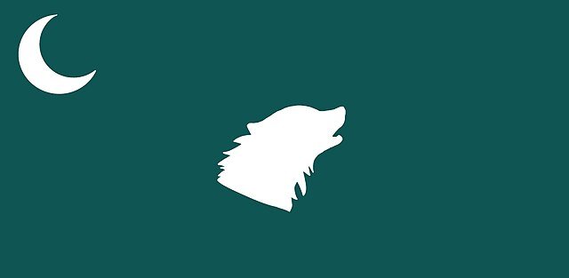 Флаг Казахского ханства. Фото из свободных источников в Интернете. 