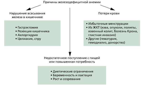 Рис 2. Основные причины железодефицитной анемии