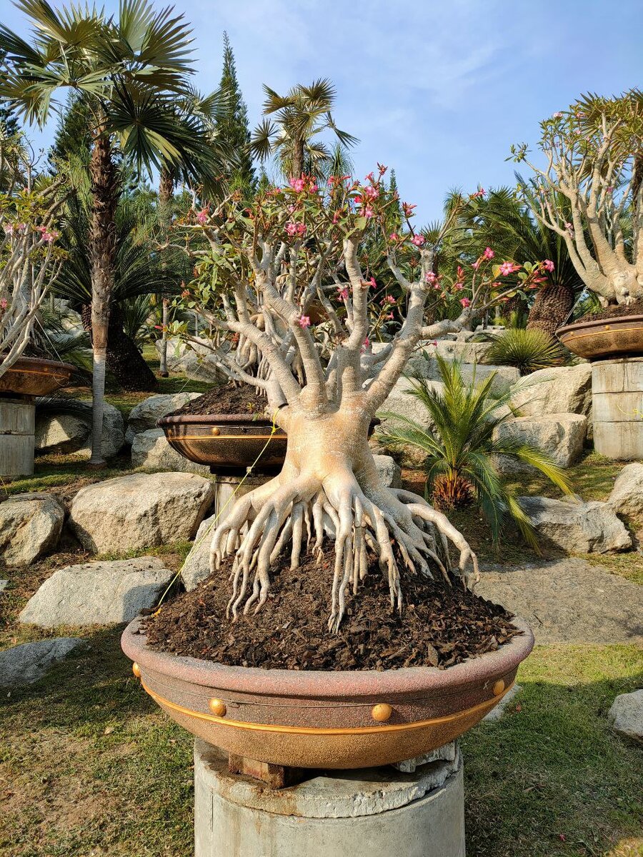 Фото принадлежит каналу 