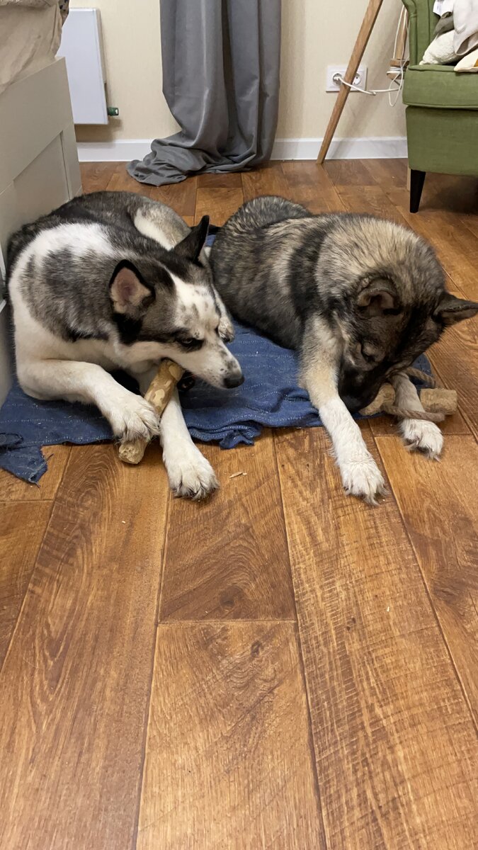 Увлекаю хулиганов палочками из кофейного дерева.