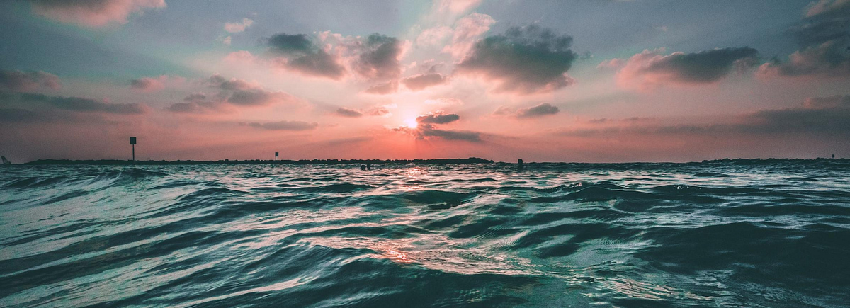 Фото: Joseph Barrientos, unsplash.com