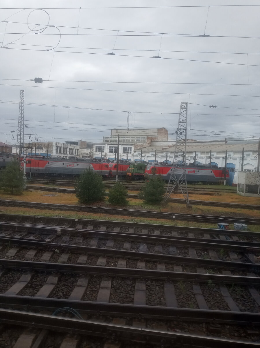 Фото автора.