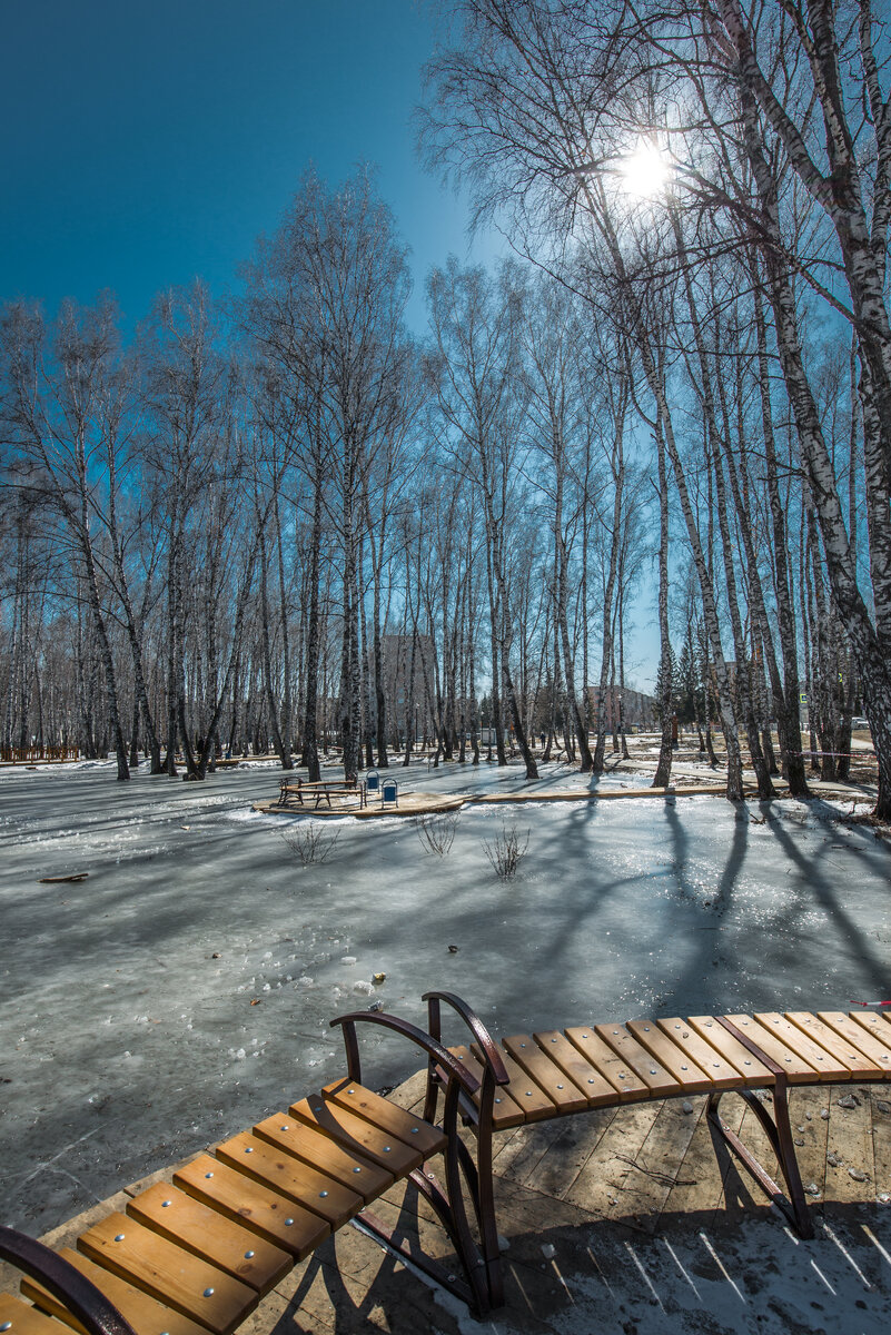 Бердск весной фото