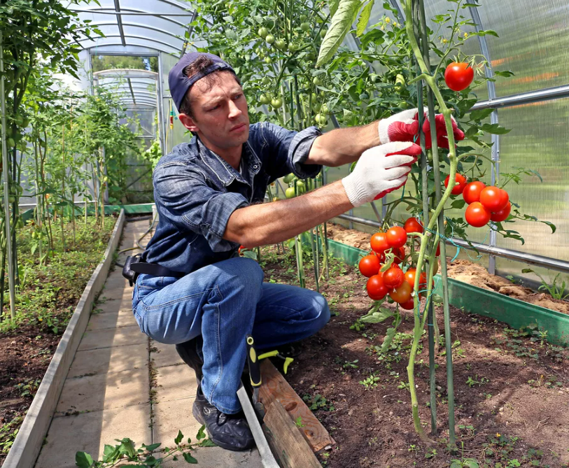 Фотография взята из источника hameleone.ru