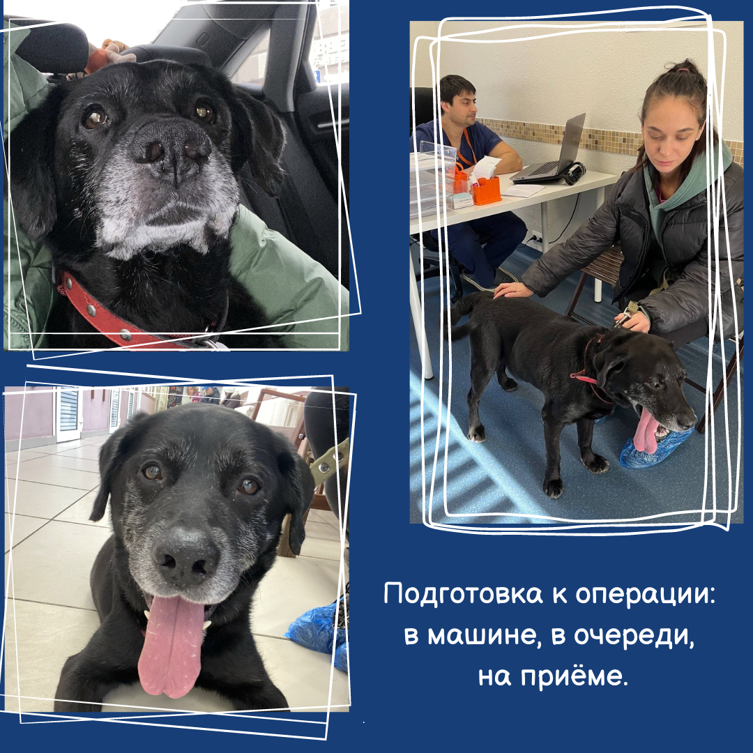 Подготовка к операции.