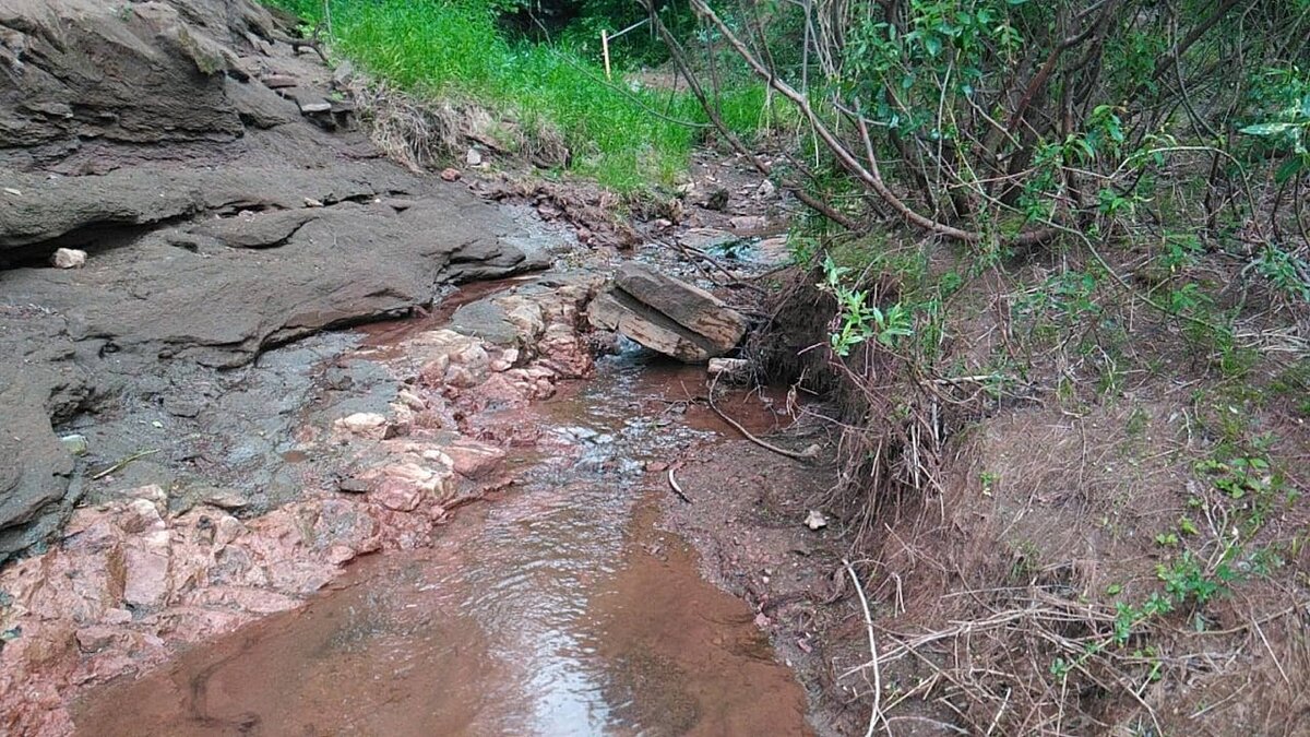 Ручей то сужался, то расширялся