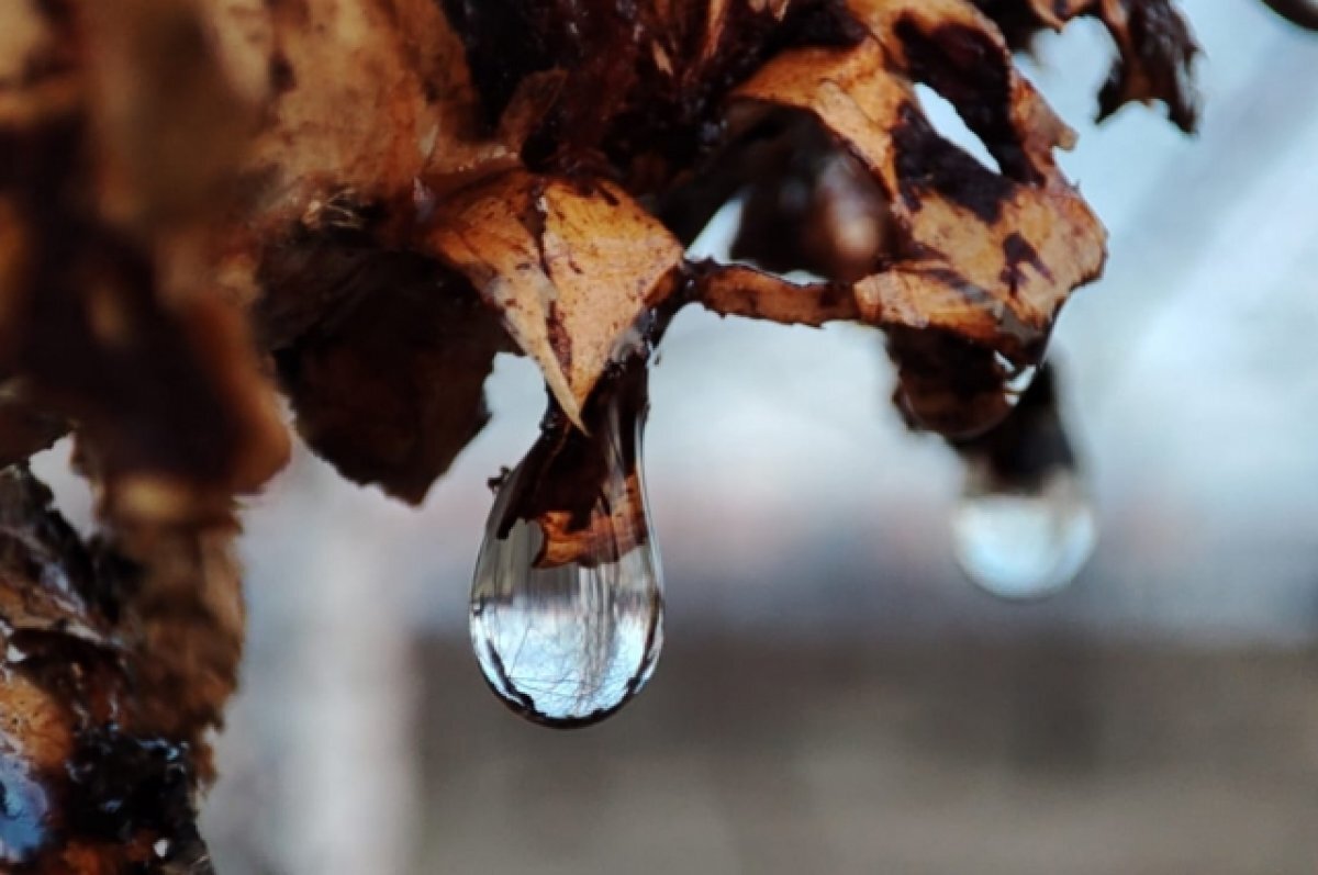    Апрель в Пермском крае стал одним из самых сухих в истории наблюдений