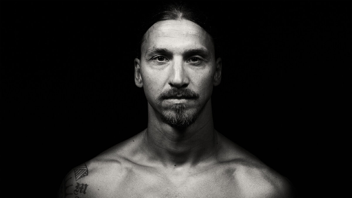 King Zlatan Lion