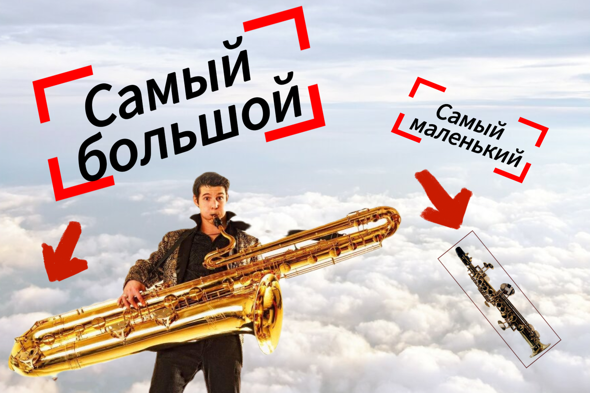 Самый большой и маленький саксофон | Jazz Student | Дзен