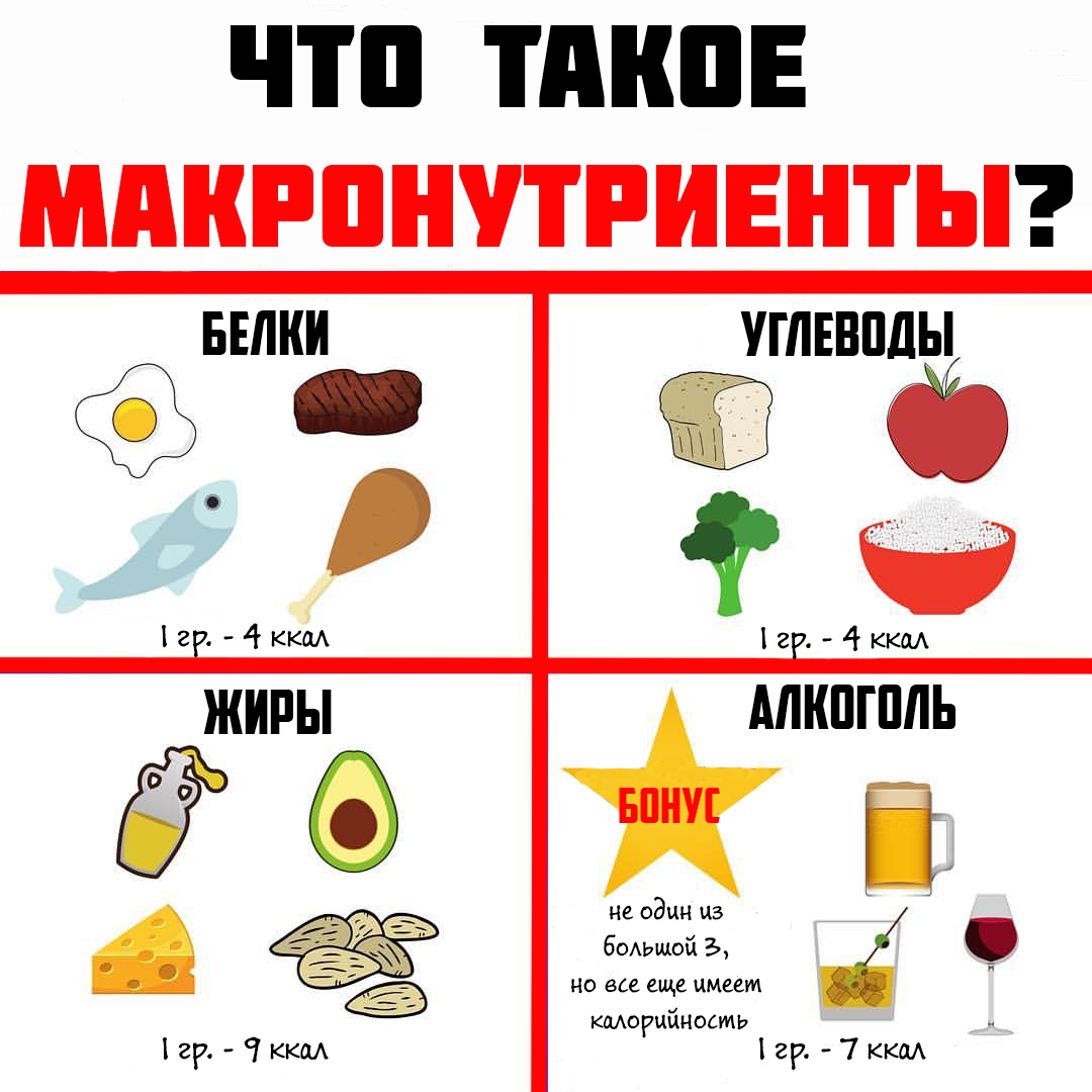 Изображение взято из официального инстаграма @fittips.prime 