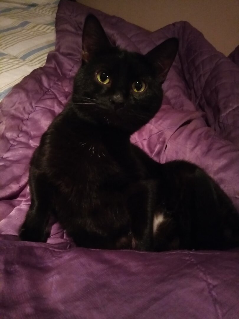 -Ты чё, больной??