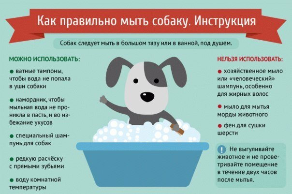 Источник Яндекс картинки