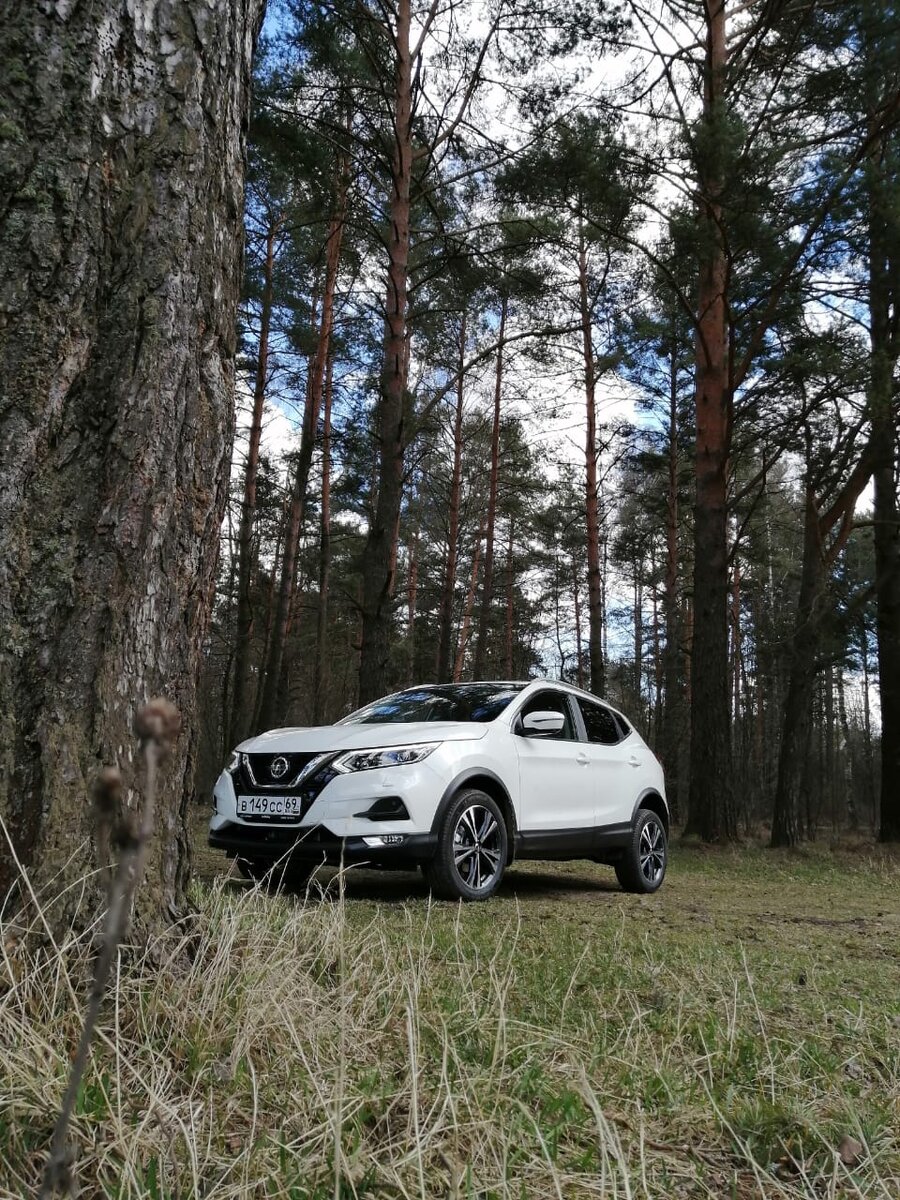 Так в чем же секрет этого кроссовера? На успех Nissan Qashqai работает несколько факторов: доступная цена, внедорожные возможности и совершенная безопасность. Пожалуй, с нее мы и начнем. 