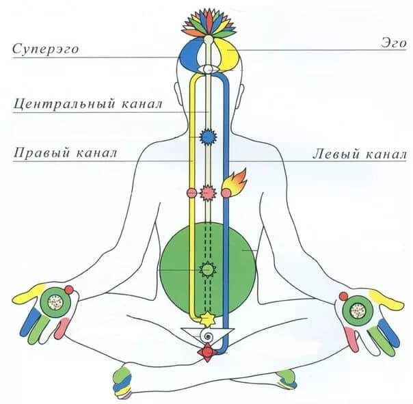 Как долго можно прожить без еды?