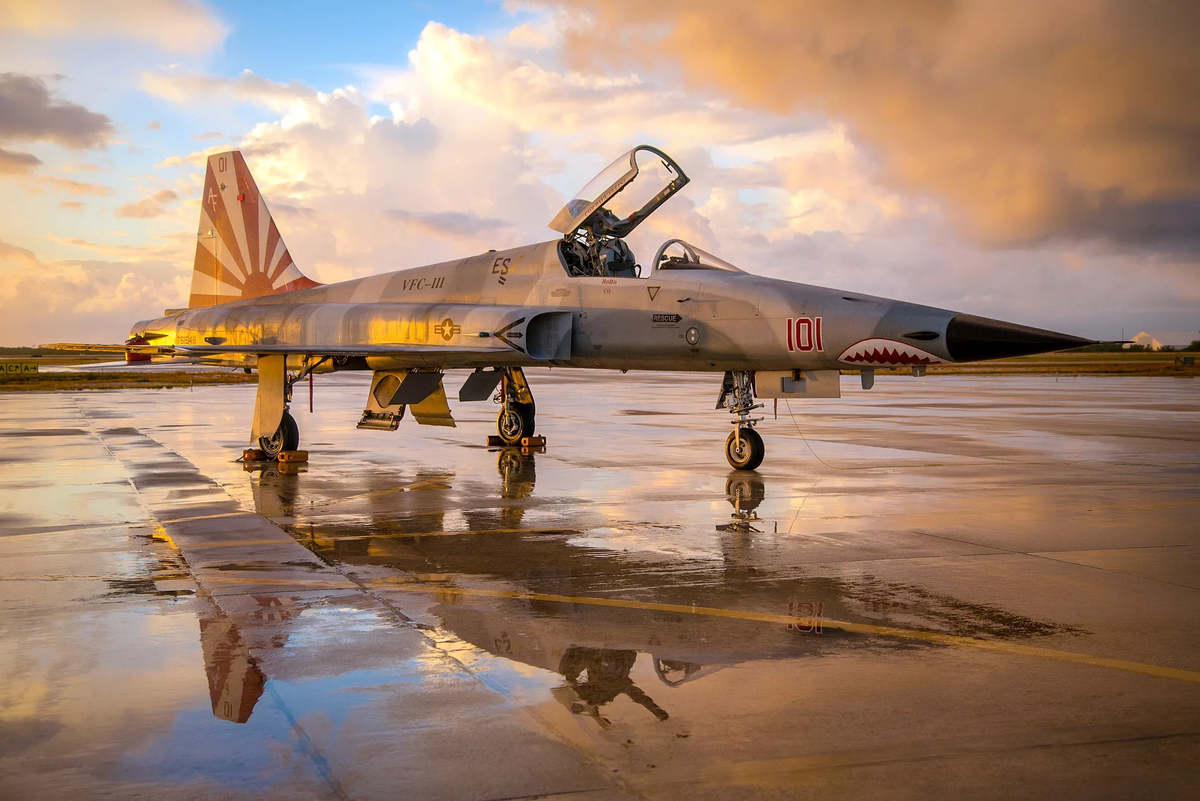 F5. F-5 "Тайгер-2. Northrop f-5e Tiger II. Самолет ф-5 Тайгер. F-5 Tiger II "Freedom Fighter"