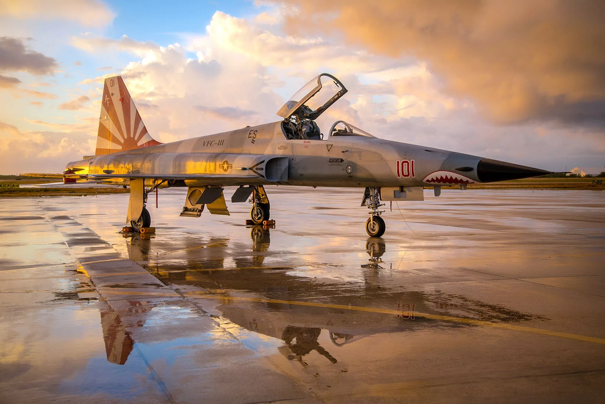 Бомбардировщики 5. Самолет ф-5 Тайгер. F-5e Tiger II. F-5 Tiger II "Freedom Fighter". Northrop f-5 Tiger II.