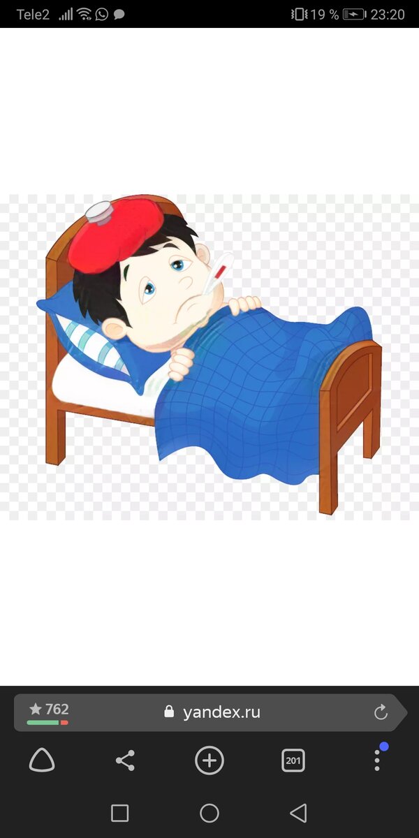 Фото из yandex.ru картинки