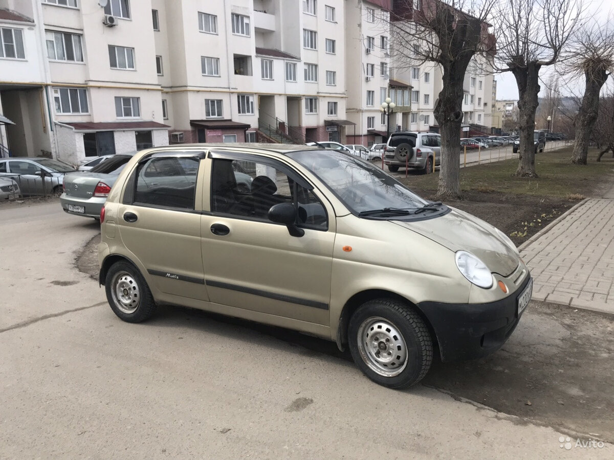 Это мой Мурзик.