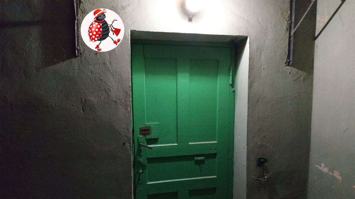 Пишите комментарии под статьей! Ставьте лайки! Подписывайтесь на канал!!!