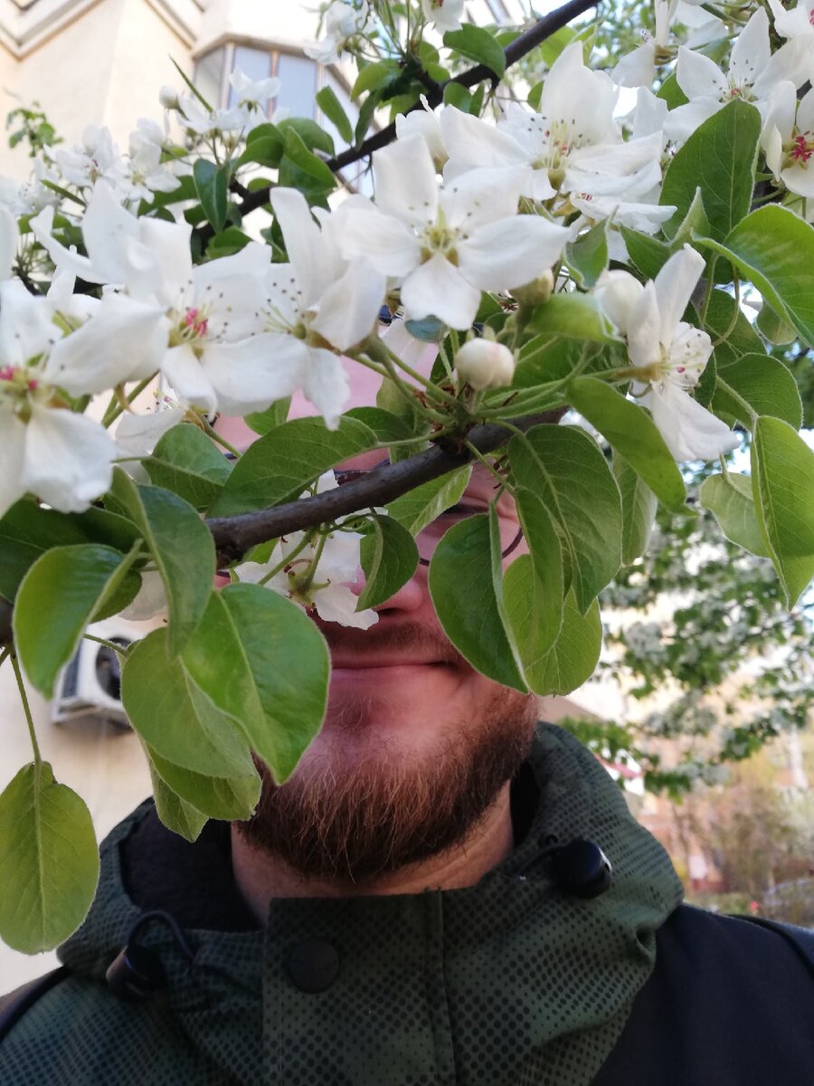 если бы весна 2020 была человеком