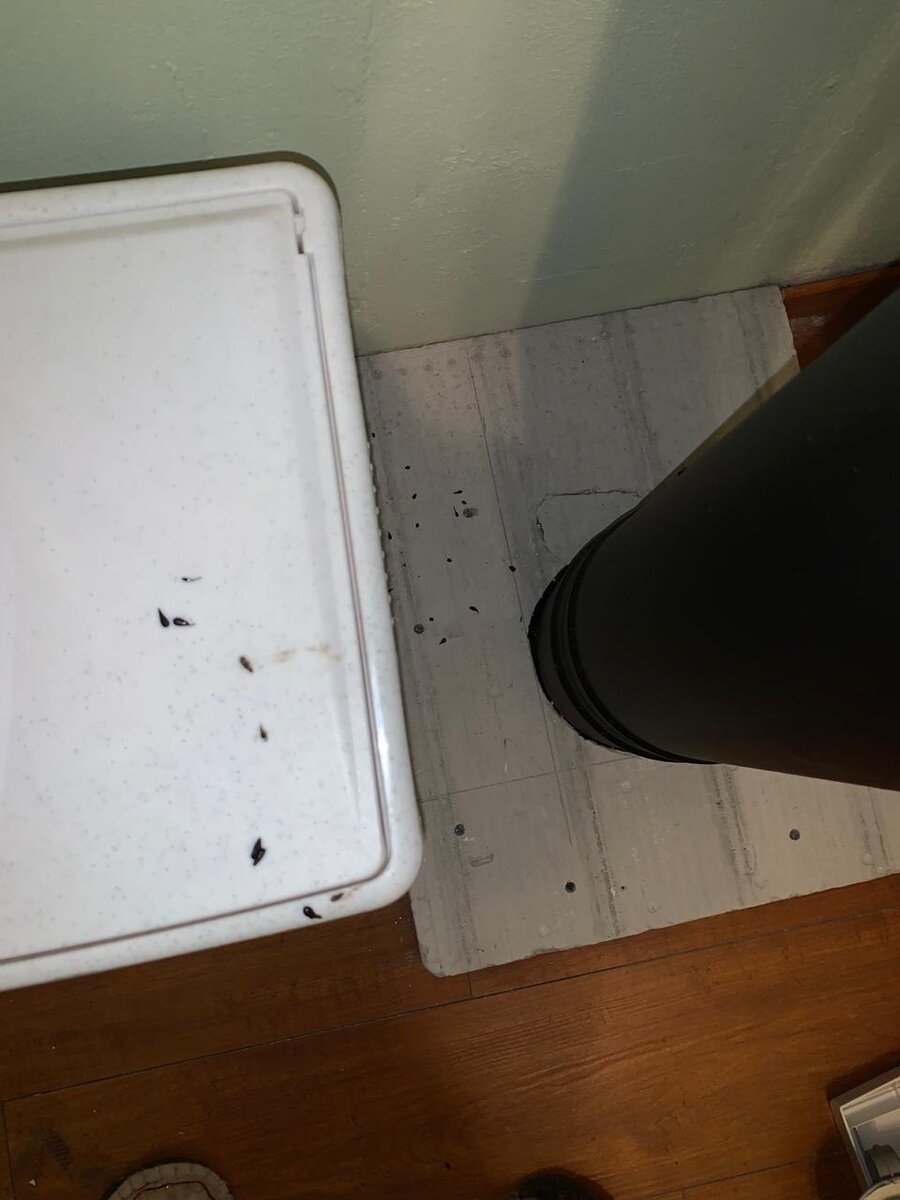 черный дождь