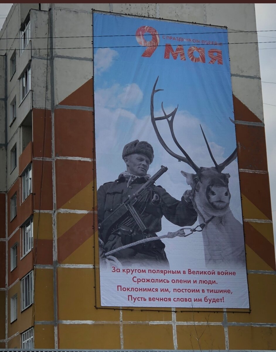 Картинка из сети