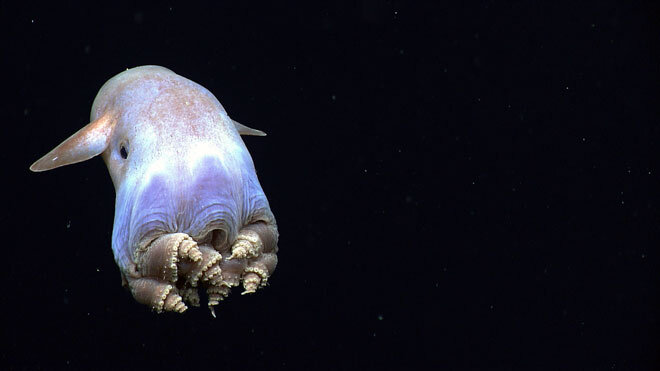 Фото взято с сайта reading.com.ua