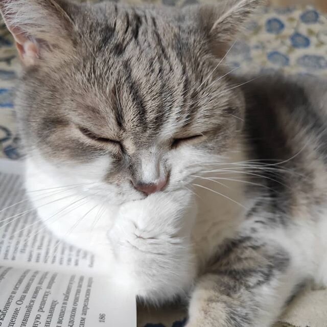 Книги - это мост в другой мир