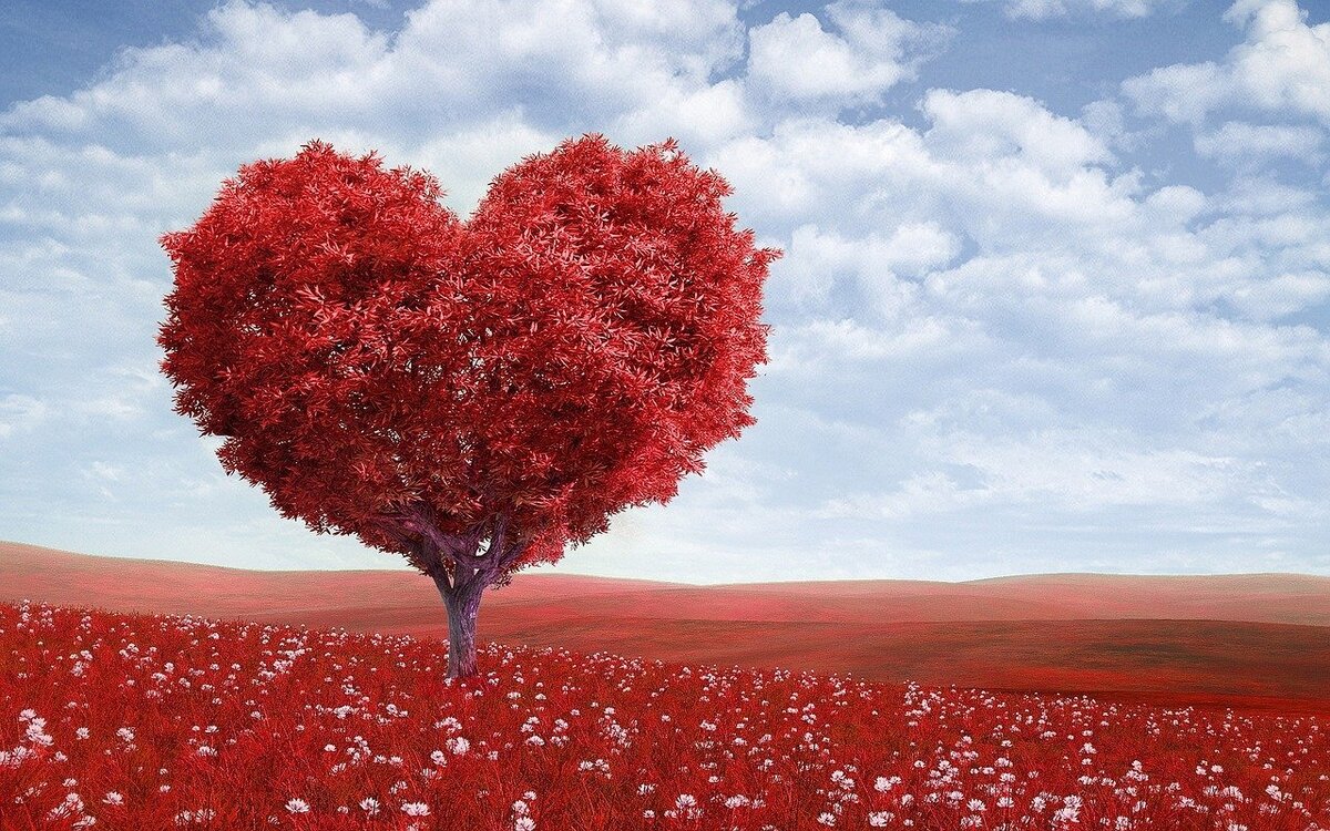 Первая любовь это опыт