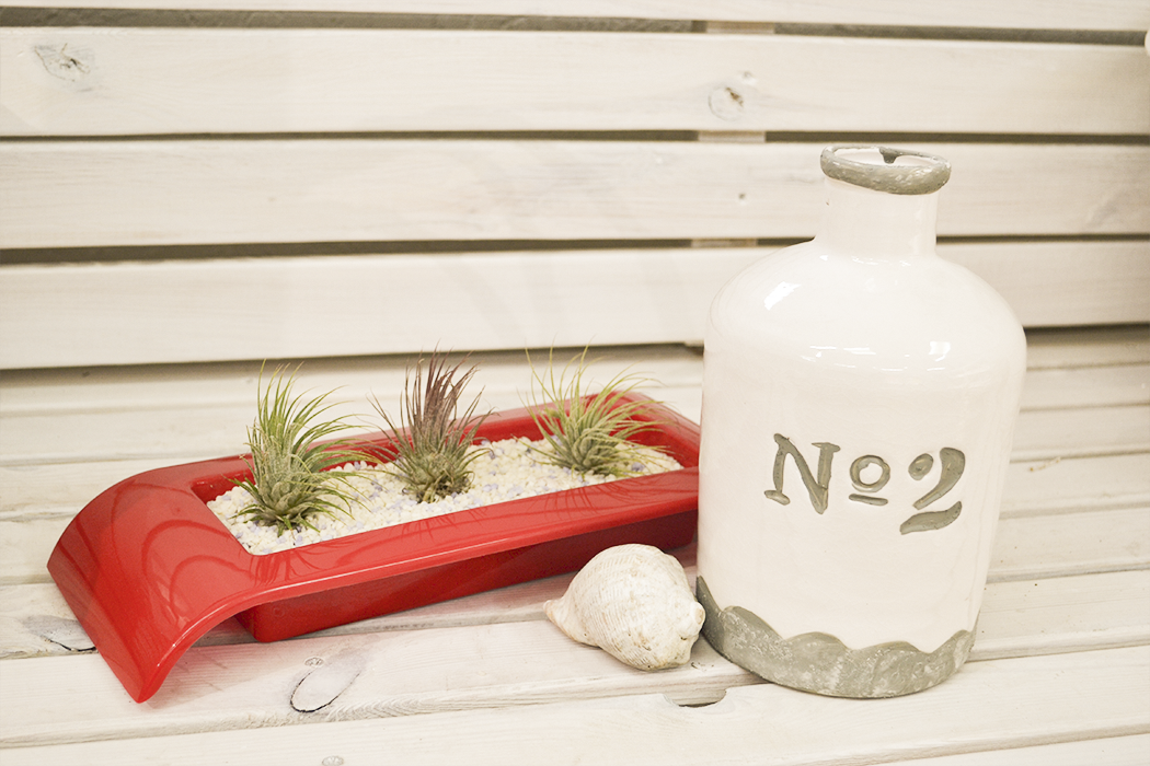 Экибана с цветной галькой и тилландсией