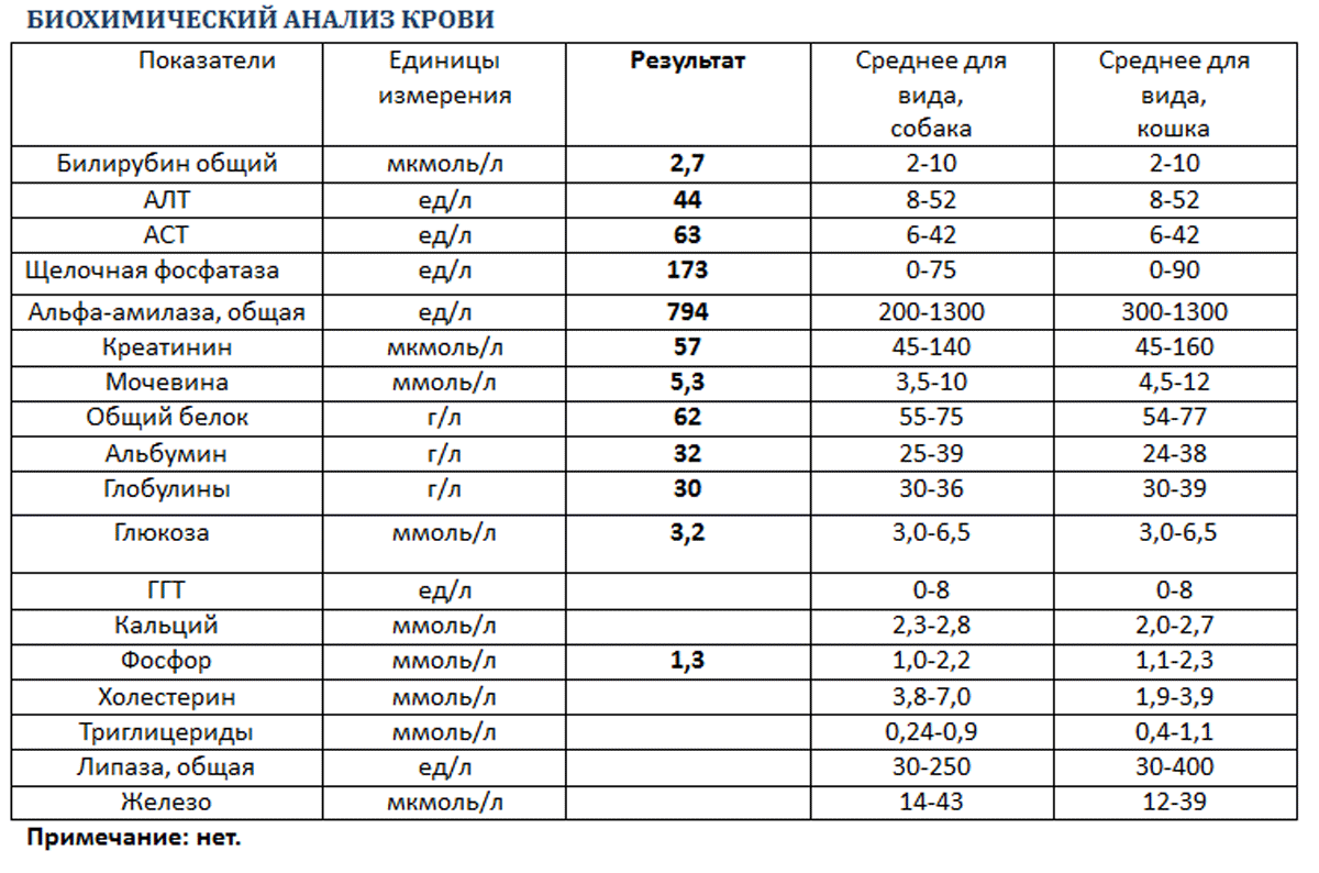 Аланинаминотрансфераза