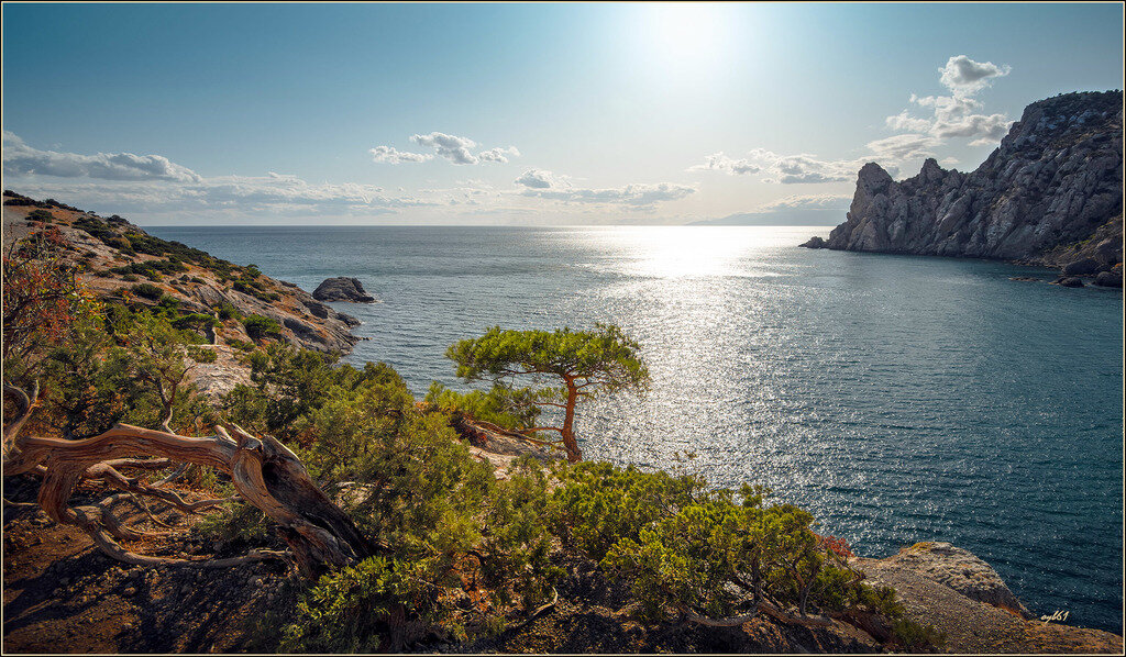 Картинка из свободного доступа в сети интернет