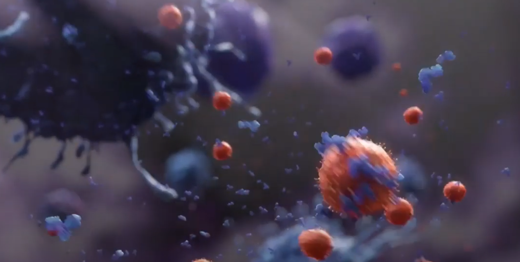 производство живых вакцин (источник)