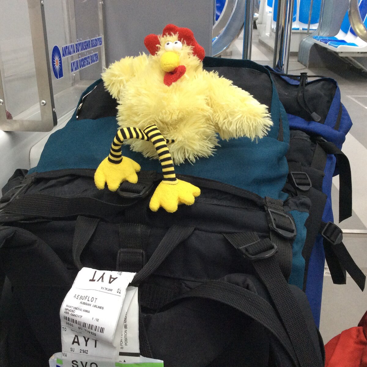 С рюкзаком путешествовать самостоятельно гораздо удобнее, чем с чемоданом