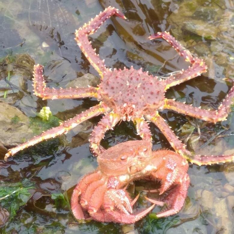 Фото Марины Медведевой