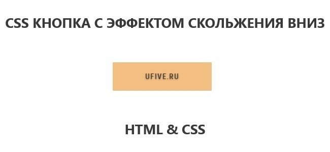 CSS кнопка с эффектом скольжения вниз