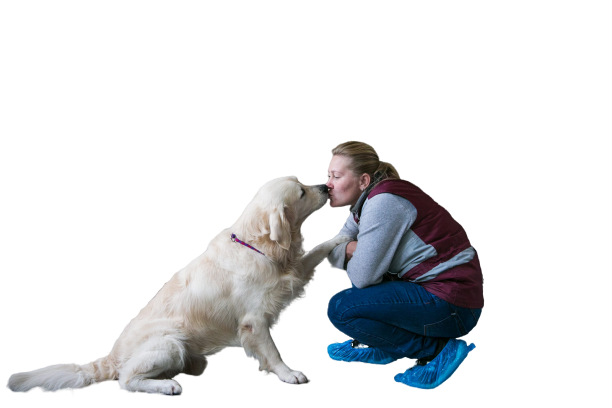 Сериал "Катя и Блэк" 