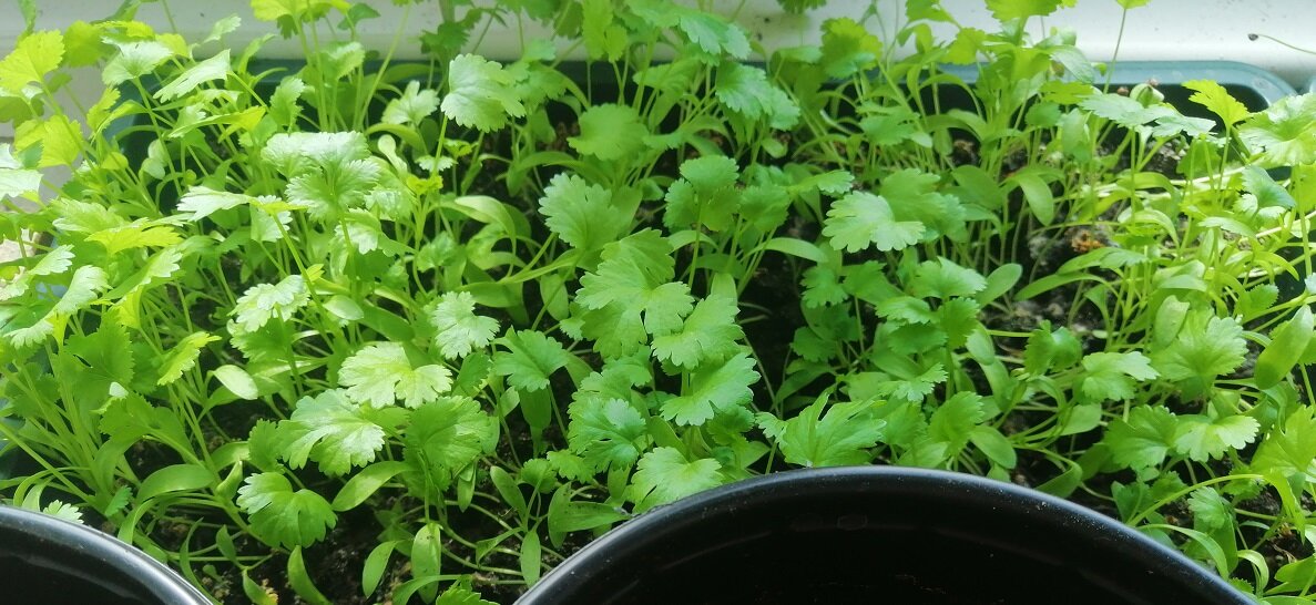 Личное фото.