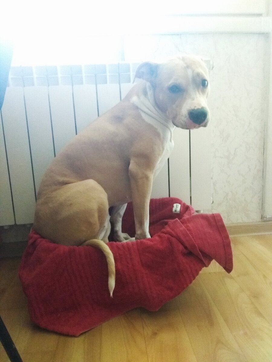 По размеру ей... 